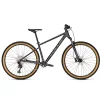 Bicicleta Focus WHISTLER 3.9